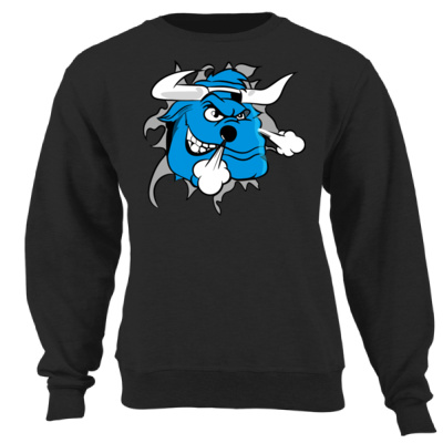 BLUE BULL SCHOONRAAD Thumbnail
