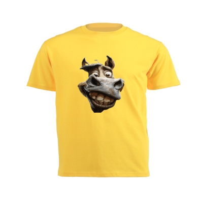 Old Silly Donkey - Junior Short-sleeve T-shirt Thumbnail