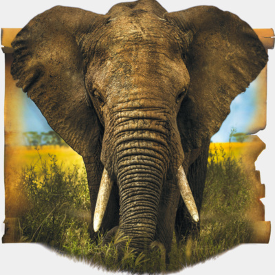 Elephant Thumbnail