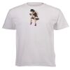 Unisex Premium Short-sleeve T-shirt - 220g Thumbnail