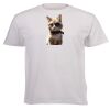 Unisex Premium Short-sleeve T-shirt - 220g Thumbnail