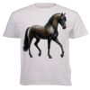 Unisex Premium Short-sleeve T-shirt - 220g Thumbnail